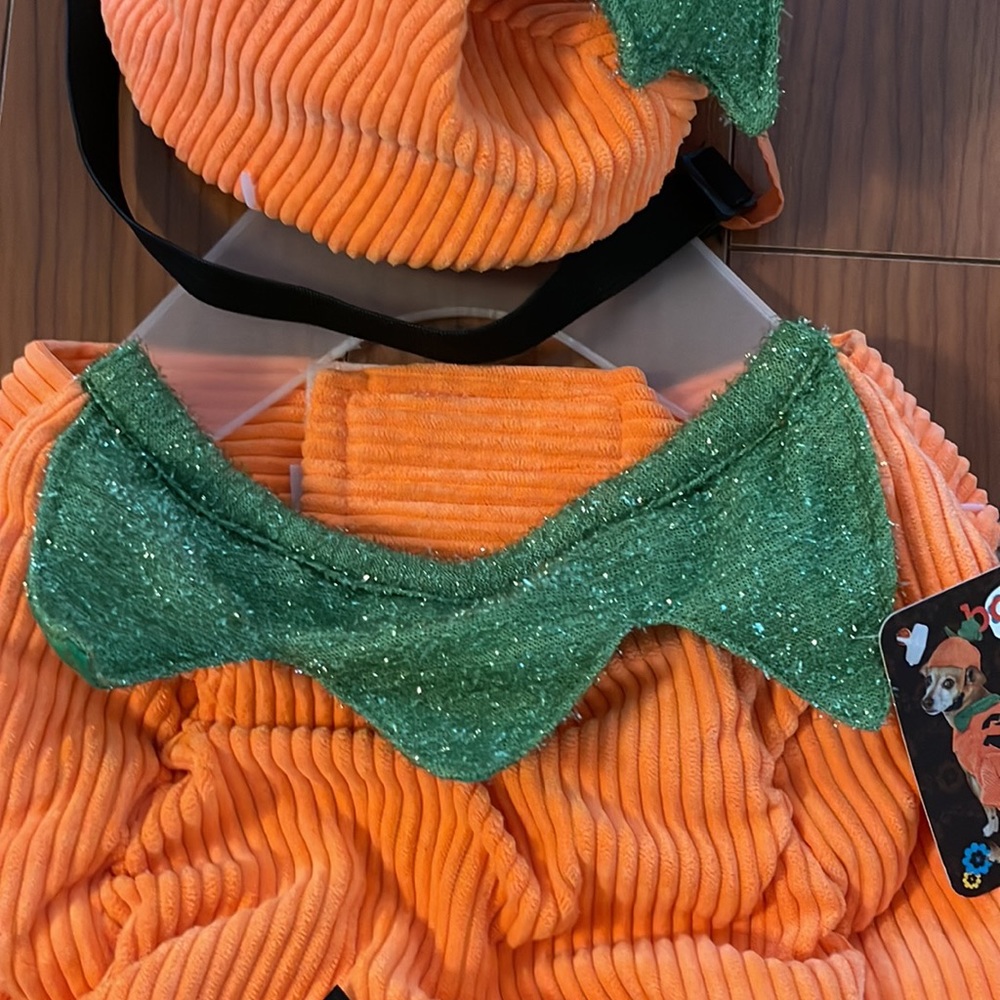 Pumpkin Patch Halloween Costume for dogs - Picture 2 of 9